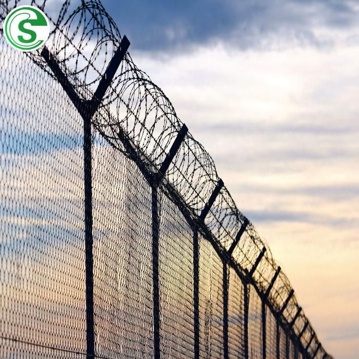 China Factory Supply Galvanized Steel Razor Barbed Wire for Border/ Airport