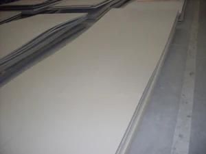 Stainless Steel/Steel Products/Steel Plate/Steel Coil/Steel Sheet 314