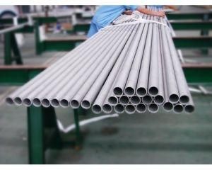Seamless Stainless Pipes/Tubes