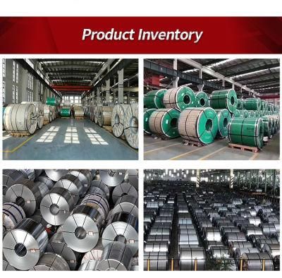 310 Stainless Steel Coil with Much Low Price