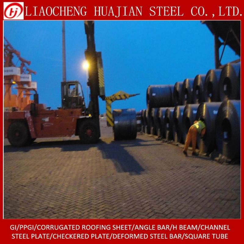 A36 Carbon Steel Coils with OEM
