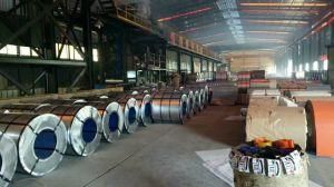 2017 China PPGI/PPGI Steel Coil/PPGI Coil