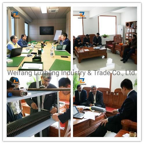 Steam Stainless Fin Tube Pipe, Vapour Steam Cooling Fin Tube TP304L Tp316L Tp 321 Tp347