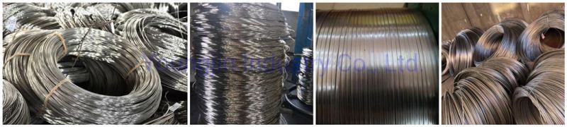 201 304 308 309 310 316 410 420 430 904L Stainless Steel Wire (Spring wire, Welded Wire)