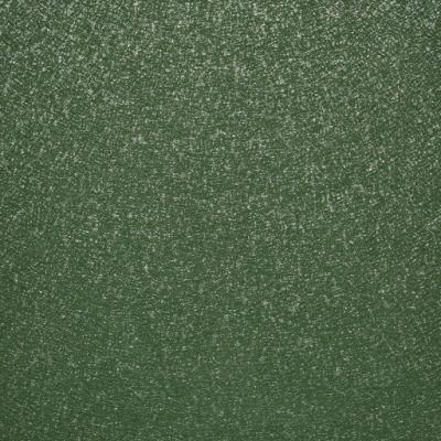 Double Coated Color Painted Metal Roll Paint PPGI PPGL Steel Coil/Sheets in Coils