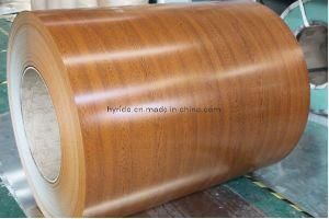 Ral Color Coated Steel Coil PPGI and Aluminium Ppal