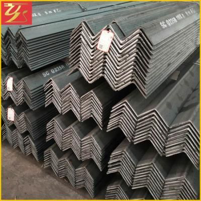 En Standard S235 S275 S355 L20X20X3 Steel Equal Angle