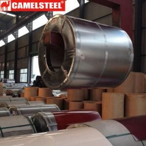 Camelsteel High Quality Cheap PPGI Gi for Sale