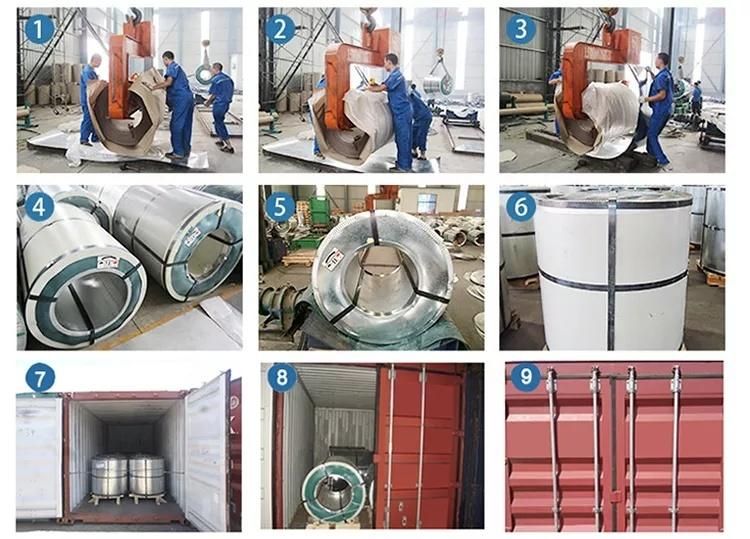 PPGI / PPGL Color Coated Galvanized Prepainted Gi Steel Coil