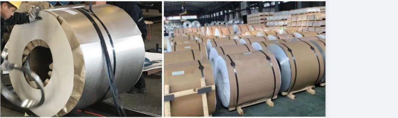 0.6mm Hot Rolled Galvanized Steel Plate Coil