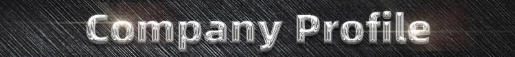 in Stock Stainless Steel Square Bar 304 316L 201 430 Stainless Steel Plat Bar