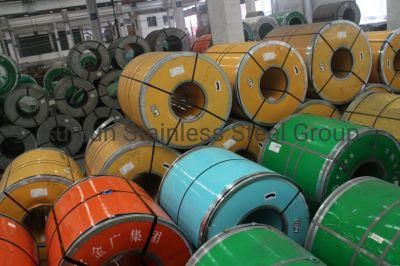 No. 1 Finish Hot Rolled 304 310S 316 Stainless Steel Coil