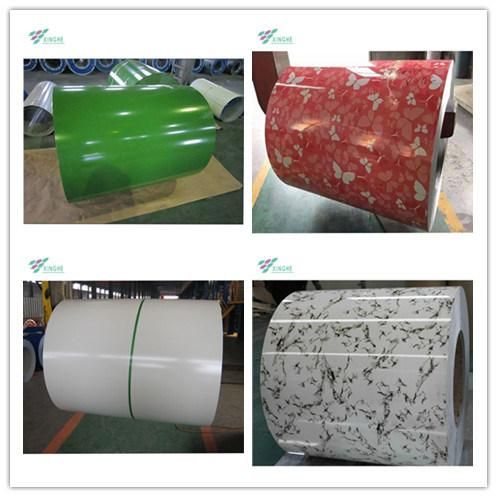 High Quality and Good Price Color Coated PPGI Coil