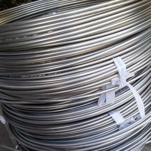 Od 8mm 304 316 Stainless Steel Seamless Tube Coil Tubing Tube Pipe for Gas
