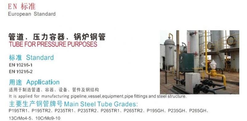 En10216-2 P265/235gh 13crmo4-5 Pressure Purposes Pipe