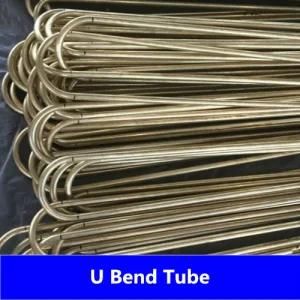 304L U Bend Seamless Stainless Steel Tube From China