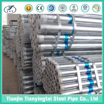 Made in China/Hot Dipped Galvanized Steel Pipe