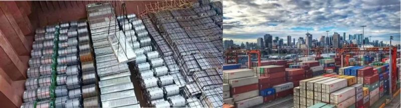 Dx51d Z150 Cold Rolled Gi Steel Sheet and Plate Coil Factory