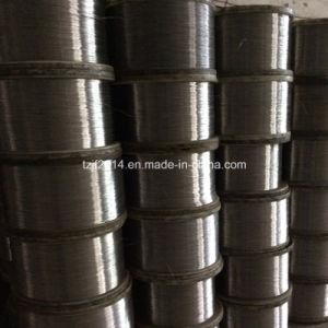 Hot Sale Stainless Steel Wire with 316L