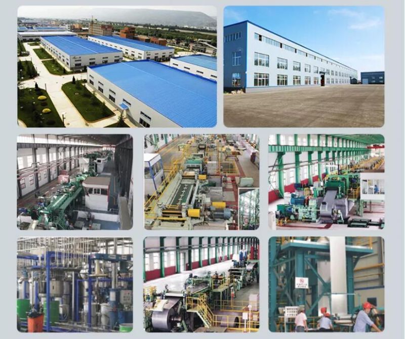 Hot Rolled A276/304 316L Alloy Round/Carbon/ Stainless/Round/Aluminum/Carbon/Galvanized Rod /Square/Angle/Flat/Copper/Channel/Steel Bar