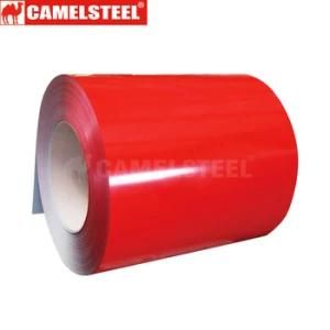 Galvanized Steel Sheet Building Material Stainless Steel Pipe