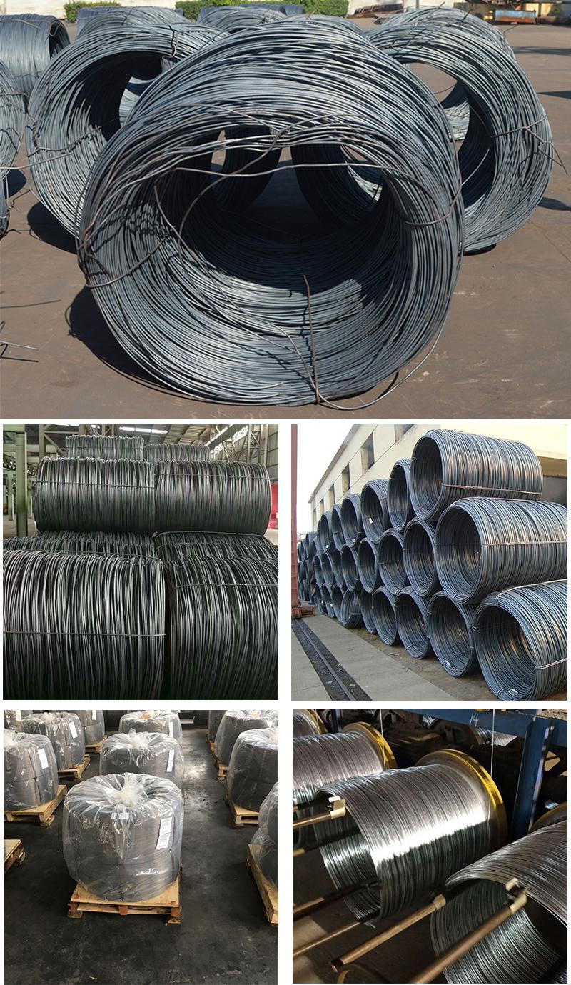 Manufacturer Supply High Carbon Shutter Doors Spring Steel Wire