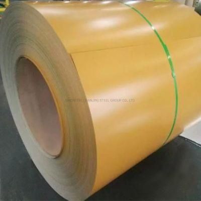 High Quality Building Material PPGI Color Coated Metal Steel Coil