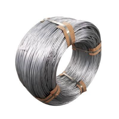 Electro Galvanized Iron Wire Hot Dipped Galvanized Iron Wire Low Carbon Wire Stainless Steel Wire for Binging Metal Wire