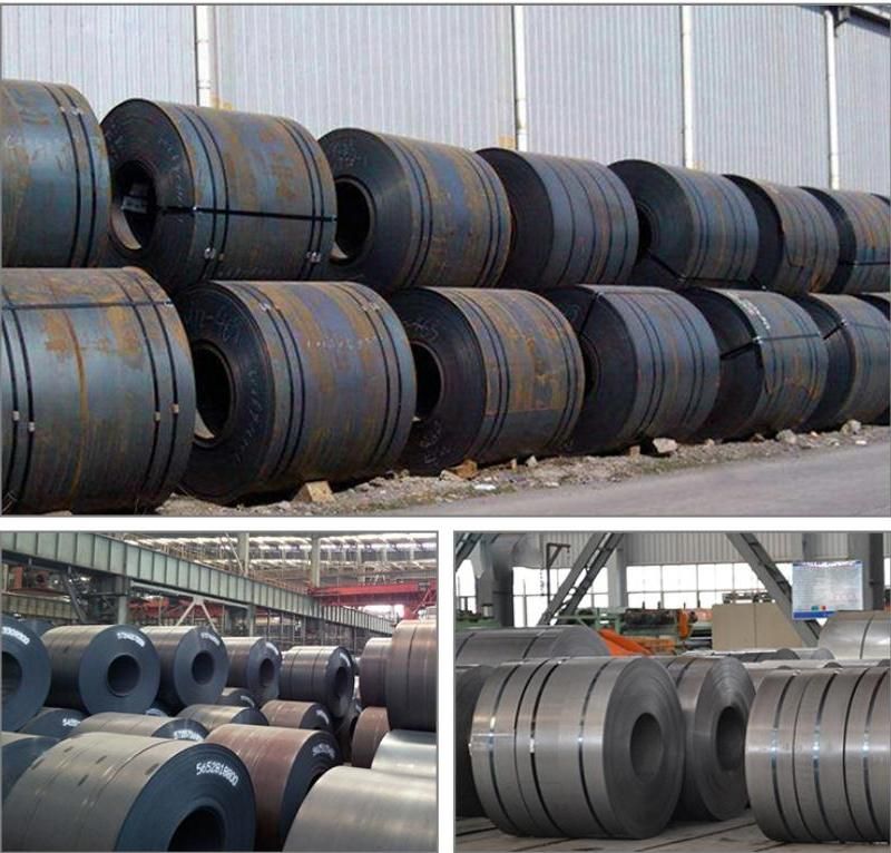 Factory Low Carbon Metal Selling Perpainted Carbon Steel Coil for Building Material