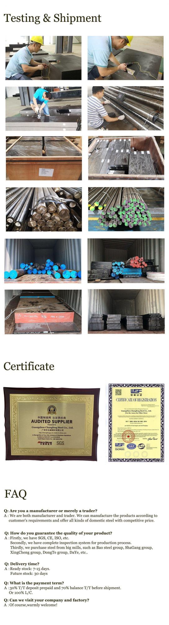 1.2316 1.2083 Hot Rolled/Forged Tool Steel Forging Die Steel