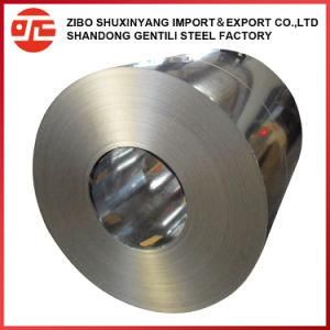 PPGI Color Galvanized Steel Coil with SGS