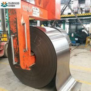 0.6, 0.8 and 1mm Thickness Dx51d Gl/Gi/Hdgi/ Hot Dipped Galvanized Steel Sheets/Coil Gl