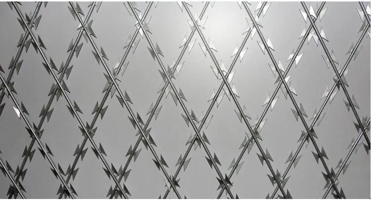 Airport / Border Used High Quality Concertina Razor Barbed Wire with Factory Price