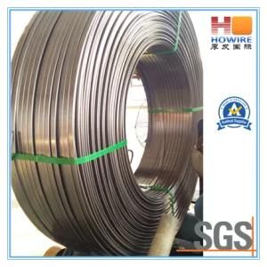 SAE1008 Low Carbon Steel Wire