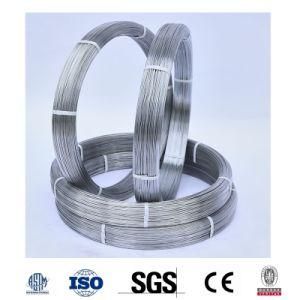 Carbon Steel Oval Galvanized Steel Wire 3.0*2.4mm Brazil Market