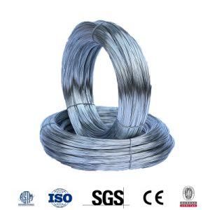 Carbon Steel Oval Galvanized Steel Wire 2.7*2.2mm Paraguay Pasture