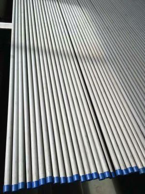 En 10297-2 1.4466 S31050 Stainless Steel Pipe