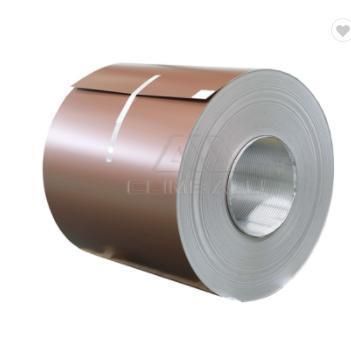 Prepainted Galvanized Steel Coil PPGI