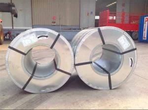 Gi Steel in Coils Big Flower Shandong Factory
