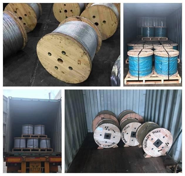 Performed Galvanized Steel Wire for Hardware