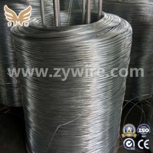 Binding Wire /Galvanized Steel Wire for Wire Mesh