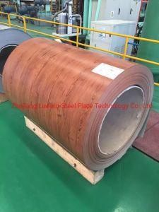 New Design Marble Pattern PPGI /PPGL Flower/Wood/Marble/Brick/Camouflage Grain Prepainted Steel