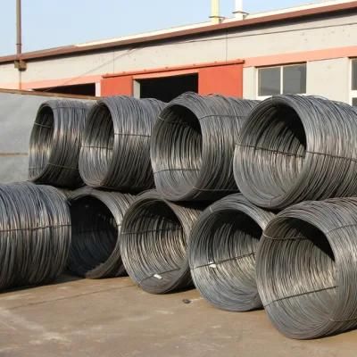 Chinese Suppliers Helical Torsion Spring Steel Wire with ISO