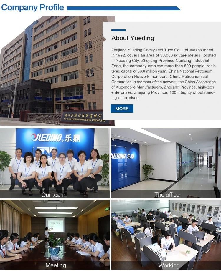 Made in China Customization Metal Hose Stainless Steel Flexible Connectors
