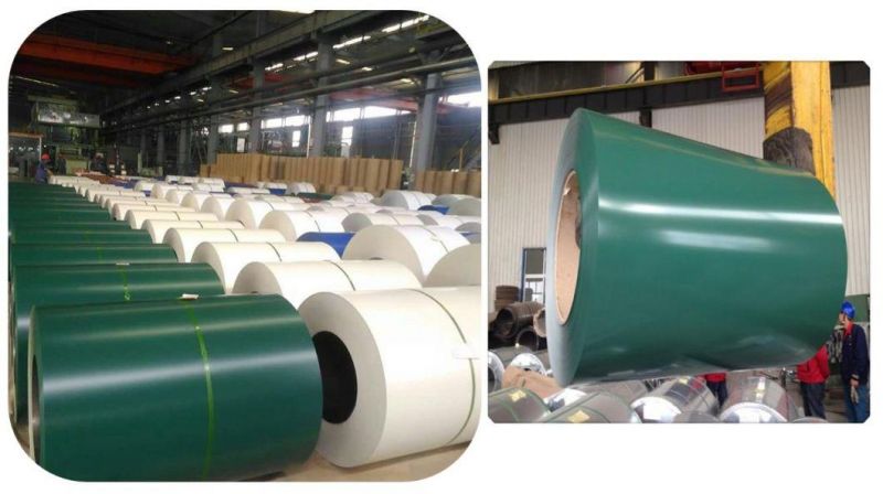 Hot Sale PPGI Cold Steel Coil From China