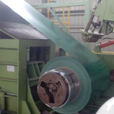 Printed Color Coated Steel Coils/ Dx51d Prepainted Galvanized Steel Coil