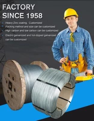 Alvanized Steel Wire Factory Steel Wire