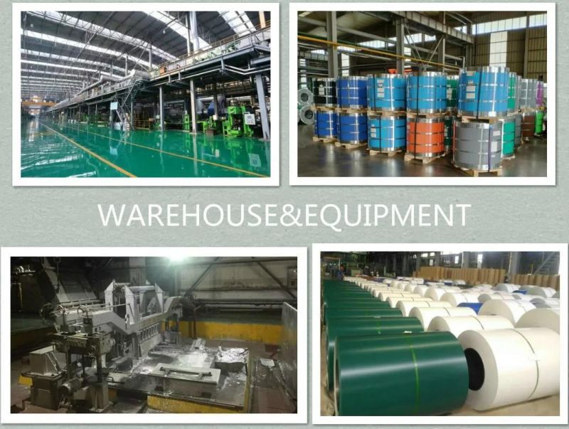 Wholesale Customizable Colors Prepainted Galvanized Steel Coil From China