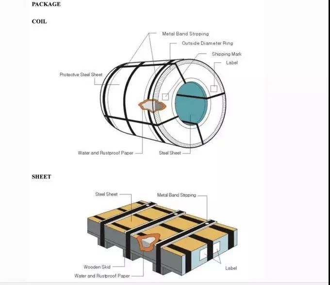 Made in China Pre Galvanized Steel Coil Gi Coil Factory Price