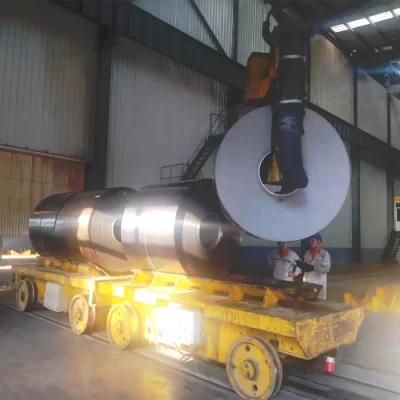 Galvanized Steel Sheet/Plate/Coil/Strip